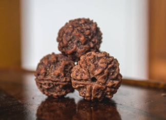 Why You Should Check Out 5 Mukhi Rudraksha Sahakara Nagar 5 Mukhi Rudraksha Sahakara Nagar