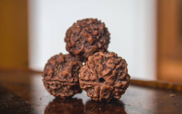 Why You Should Check Out 5 Mukhi Rudraksha Sahakara Nagar 5 Mukhi Rudraksha Sahakara Nagar
