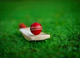 Cricbet99 Is Where Fun Fits into Busy Schedules cricbet99