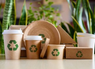 Why Sustainable Materials Are the Future of Renovation Sustainable Materials