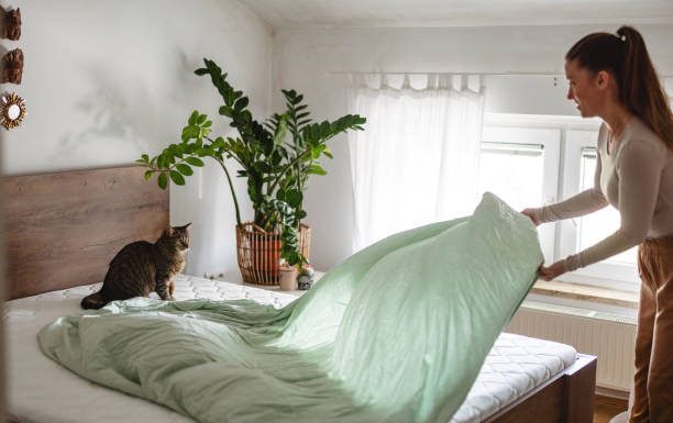 How Intentional Living Creates Greater Fulfillment Intentional Living