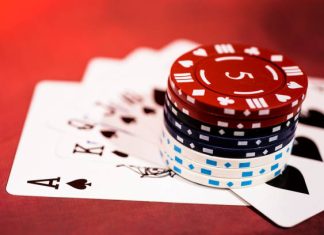 Winbuzz App Download & Login Guide – Get Started Easily winbuzz app