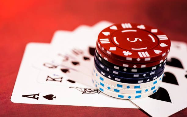 Winbuzz App Download & Login Guide – Get Started Easily winbuzz app