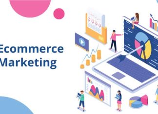 Why Most Indian Ecommerce Brands Plateau at ₹5–10 Lakhs/Month — And How to Break Through Brand Chanakya's ecommerce marketing services