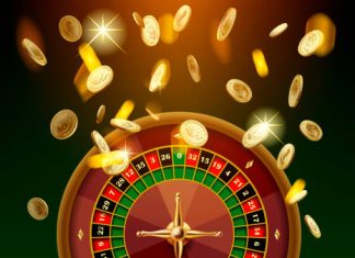 What Is Reddybook Pro and How Does It Enhance Your Betting Experience? reddybook1.ac